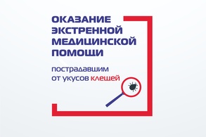 Учреждения, которые оказывают экстренную медицинскую помощь пострадавшим от укусов клещей в 2024 году рисунок