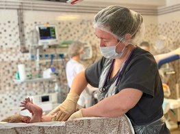 

Специалисты Роддома №10 подготовили советы, которые помогут маме быстрее адаптироваться к первым дням в роддоме рисунок
