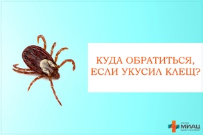 

Куда обратиться, если укусил клещ? рисунок
