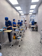 

Впервые в России прошел Фестиваль сестринских проектно-исследовательских практик «Новая парадигма развития сестринского дела» рисунок
