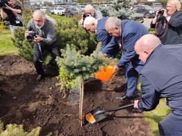 

В Георгиевском саду больницы Святого Великомученика Георгия высадили молодые деревья рисунок
