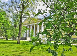 

Мариинская больница отмечает 220 лет! рисунок
