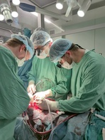 

Развитие кардиохирургической службы Санкт-Петербурга рисунок
