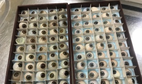 

В Санкт-Петербурге после капитального ремонта открылась уникальная лаборатория глазного протезирования рисунок
